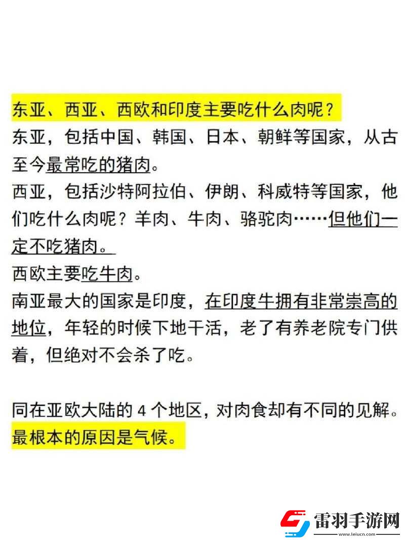 肉食教師食取報告