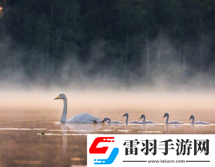 很有詩意的勵志空間說說認準的路就別問多遠