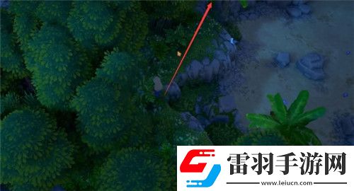 露瑪島溫?zé)岖I(xiàn)禮水晶都在什么位置露瑪島溫?zé)岖I(xiàn)禮水晶全位置盤點(diǎn)