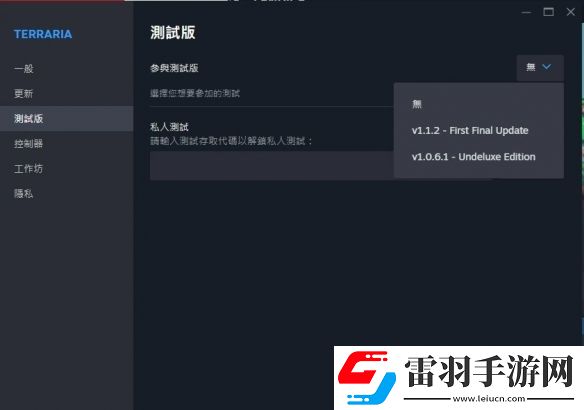 泰拉瑞亞迎來13周年開發(fā)團隊放出最終更新版本