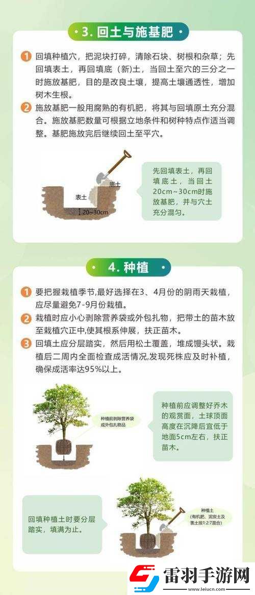 老農(nóng)種樹經(jīng)驗(yàn)分享