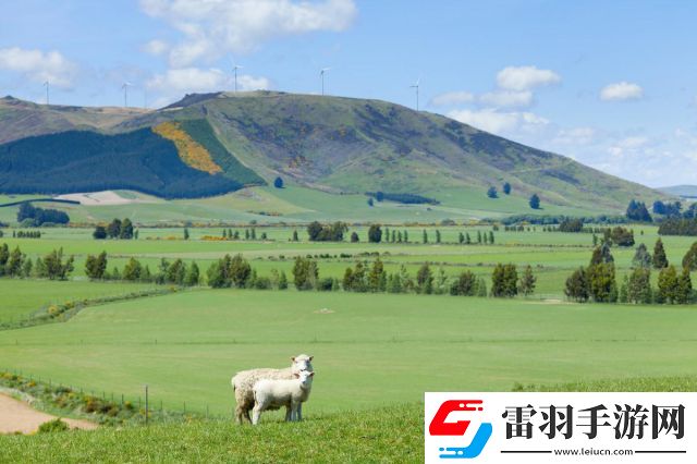 揭秘牧場(chǎng)用詞嫩草一二三的區(qū)別及其對(duì)草原生態(tài)和牲畜飼養(yǎng)的影響解析