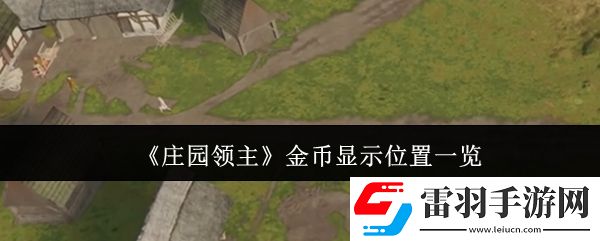 莊園領主金幣在哪顯示