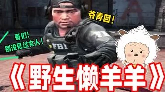 暴躁老阿姨CSGO