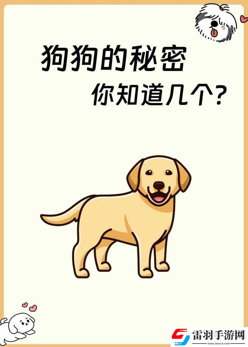 熊大快跑