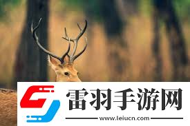 鹿心杜