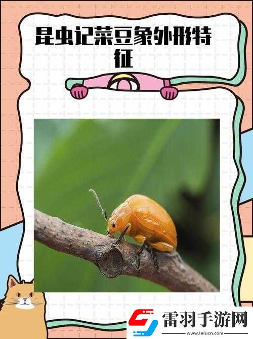 ZookeeperK9