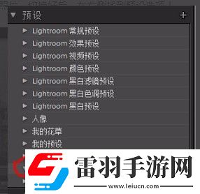 lr怎么設(shè)置預(yù)設(shè)