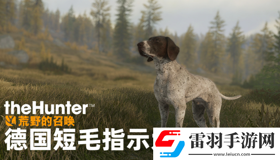 獵人