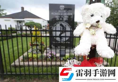 杰克遜逝世五周年各地歌迷紀(jì)念方式各有特色