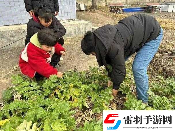 光腿拔蘿卜