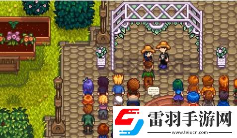 星露谷物語結婚戒指有什么作用
