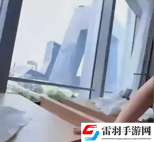 張律渝與呂總落地窗資源百度盤相關內容