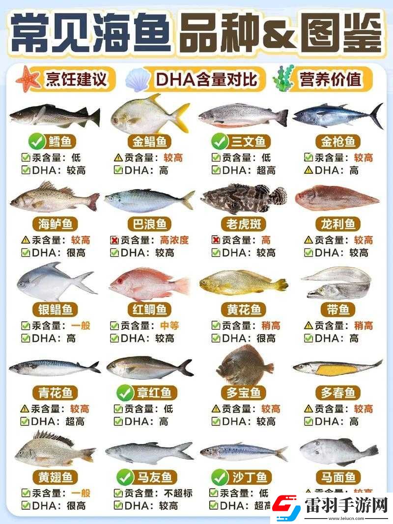 爐石傳說