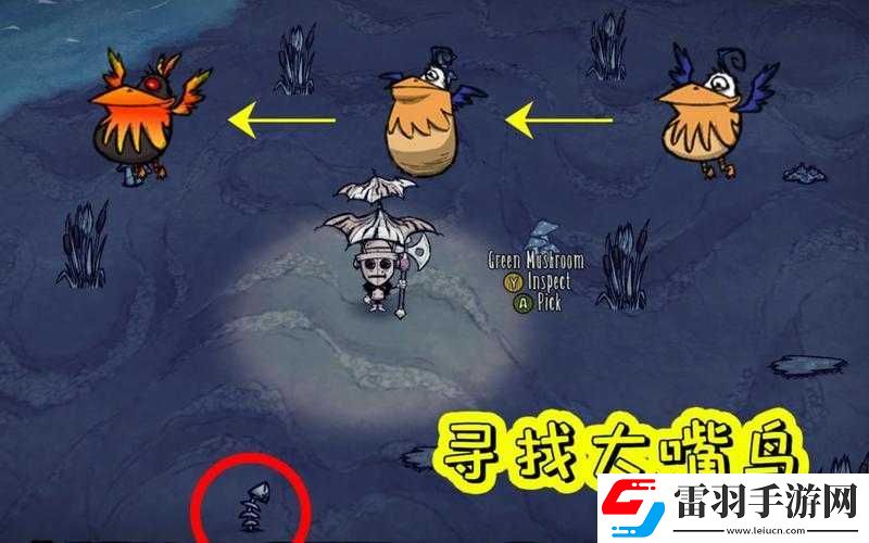 饑荒海難鵜鶘丟失不用慌