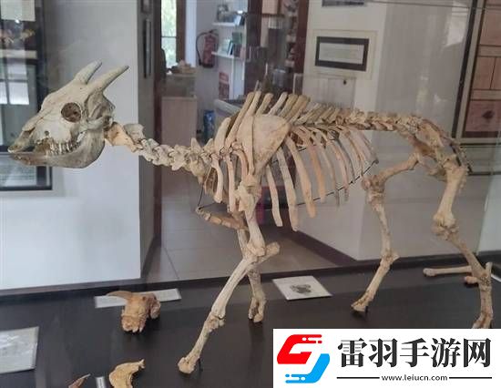 獨(dú)特的“冷血山羊”長著一張人臉