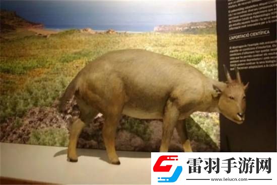 獨(dú)特的“冷血山羊”長著一張人臉