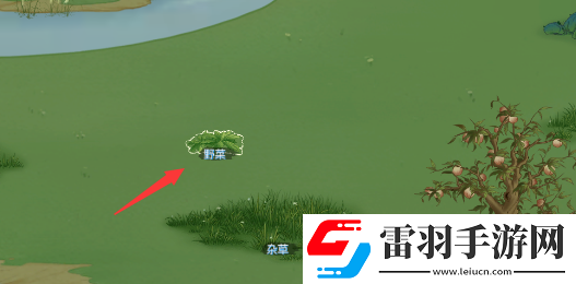 桃源記食物不夠怎么辦
