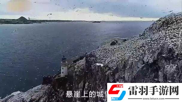 西西里啪啪啪