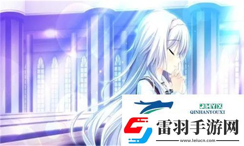 成品視頻CRM提升用戶體驗