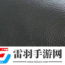 復(fù)合牛皮