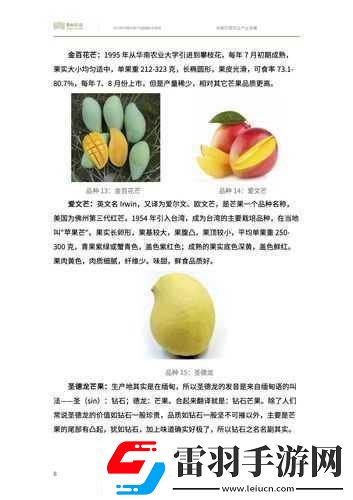 國(guó)產(chǎn)四線區(qū)芒果