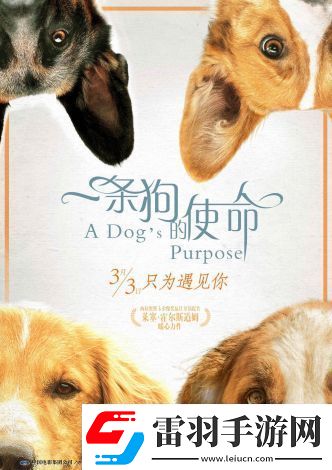 狗狗特工隊