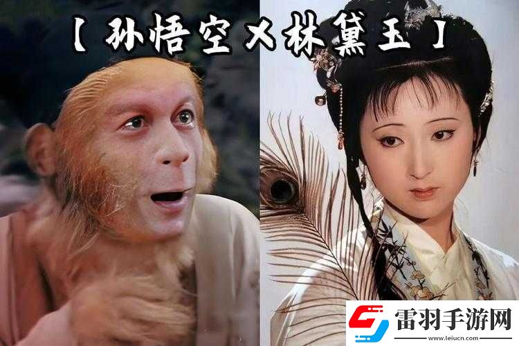 黛玉初試金箍棒直接白嫖