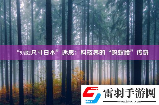 “9AB2尺寸日本”迷思