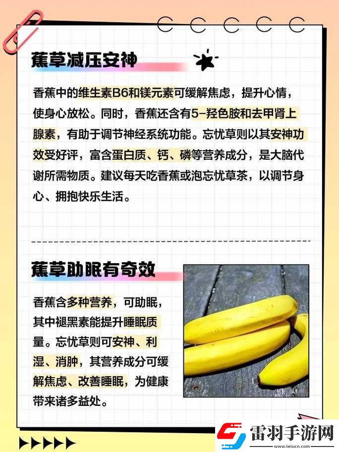 香蕉和忘憂草