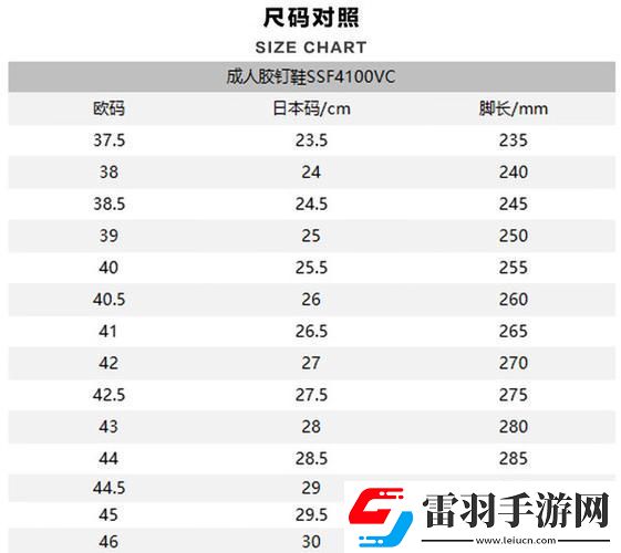 探索歐洲日本尺碼專線不卡頓的購物體驗青松資訊