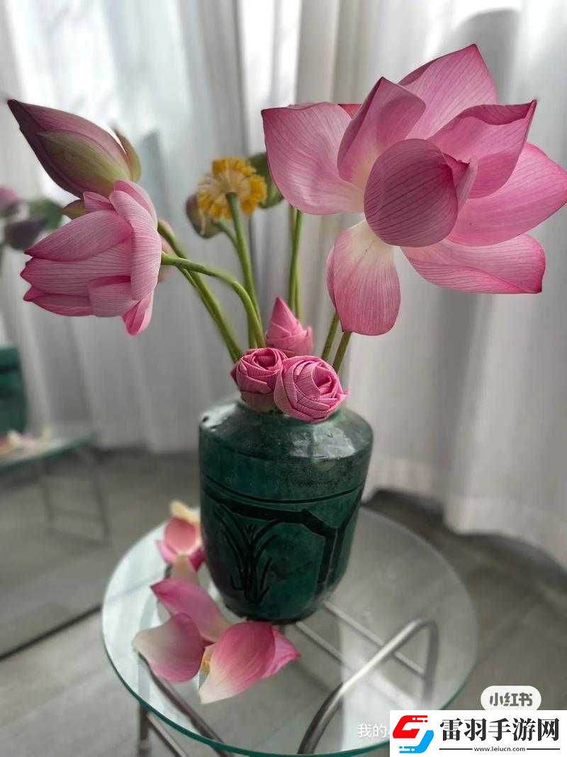 倒插蓮花究竟是怎樣一種獨(dú)特的模樣呢