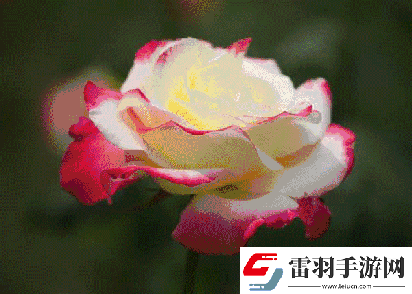 色彩變幻如夢如幻——動態(tài)色圖