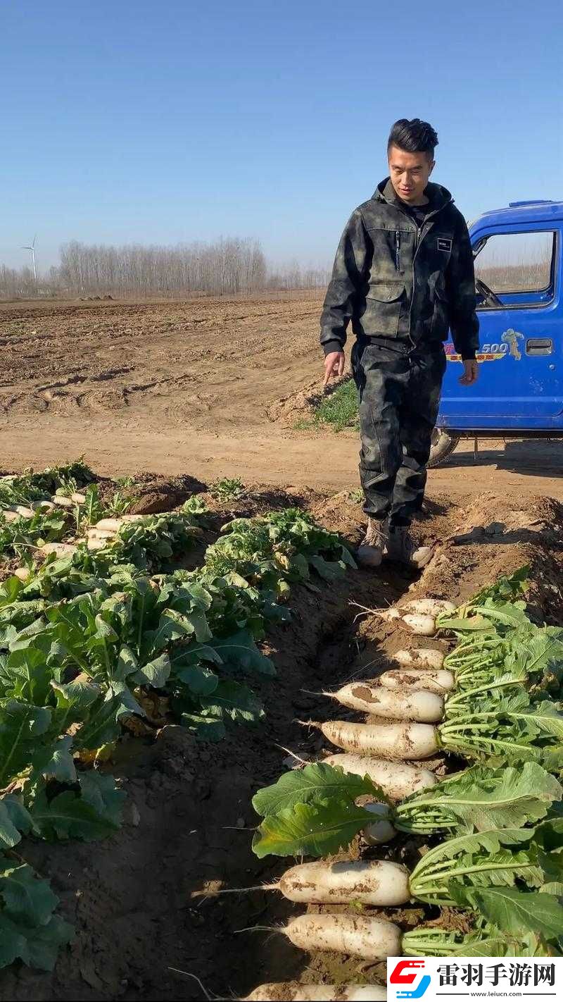 免費(fèi)拔蘿卜直播怎么賺錢