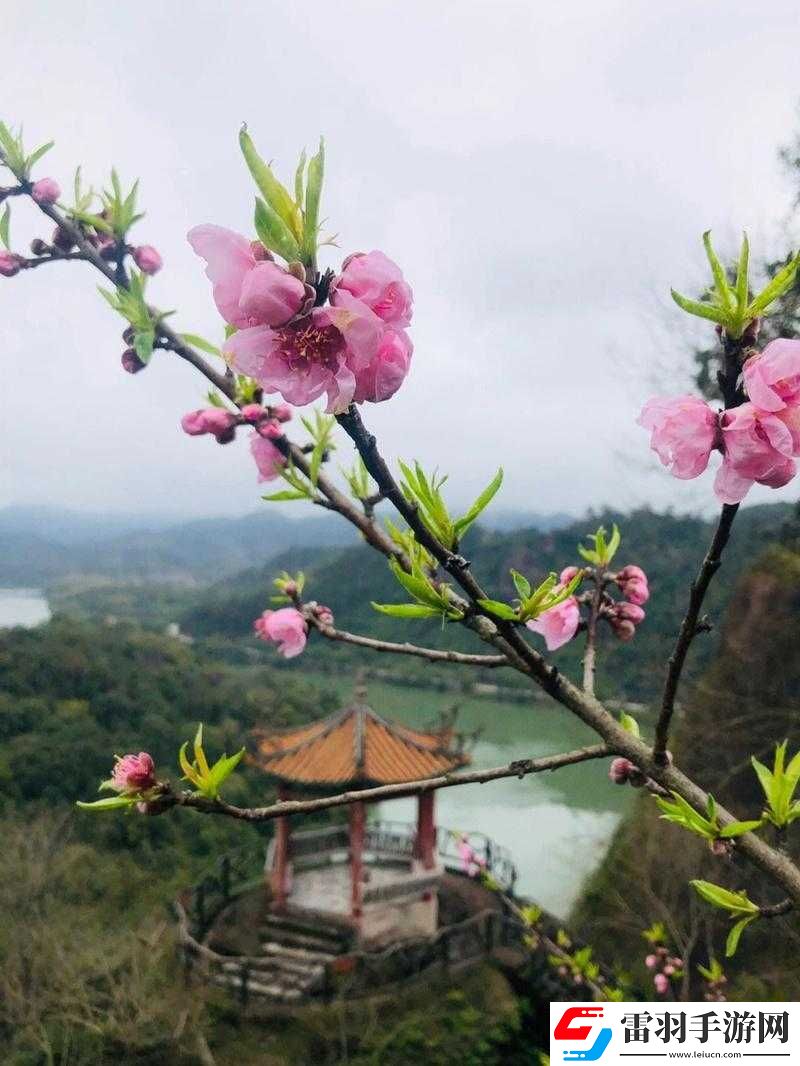 一片桃源千人品