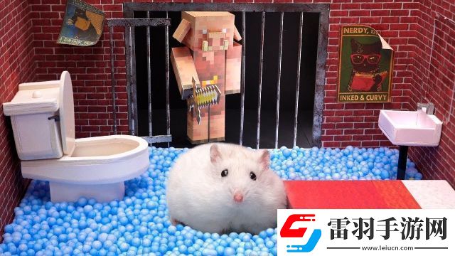 小倉鼠勇闖恐怖醫(yī)院迷宮