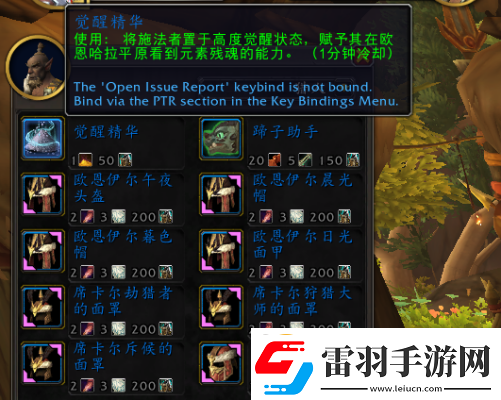 魔獸世界覺醒精華作用介紹