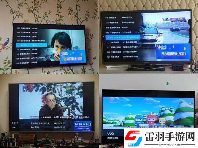 有線(xiàn)高清電視線(xiàn)sywv7