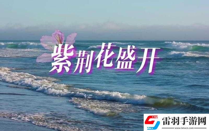 最近免費(fèi)高清