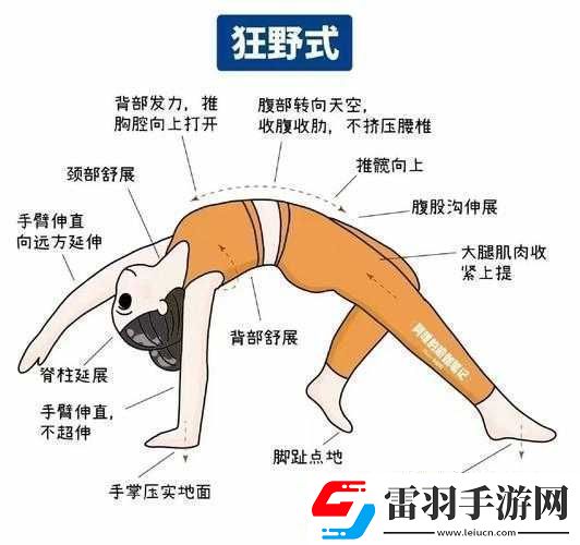 狂野式進入方法大盤點