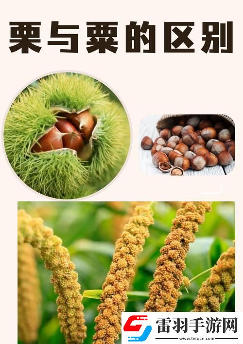 三指探洞和二指的區(qū)別