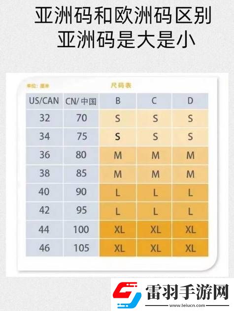 深入探討亞洲尺碼與歐洲尺碼的區(qū)別