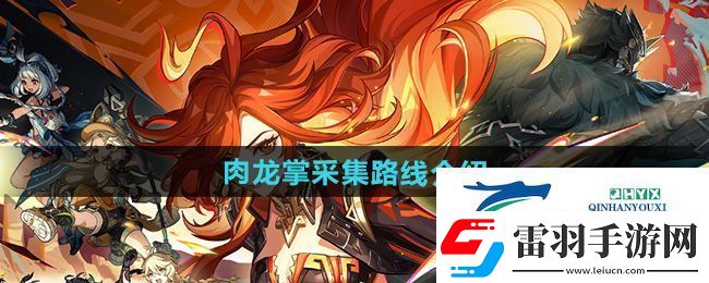 原神肉龍掌在哪采集