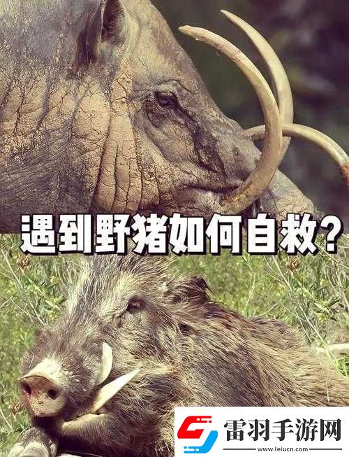 被拉到野外遭遇強(qiáng)制行為且體驗(yàn)強(qiáng)烈快感的奇妙經(jīng)歷