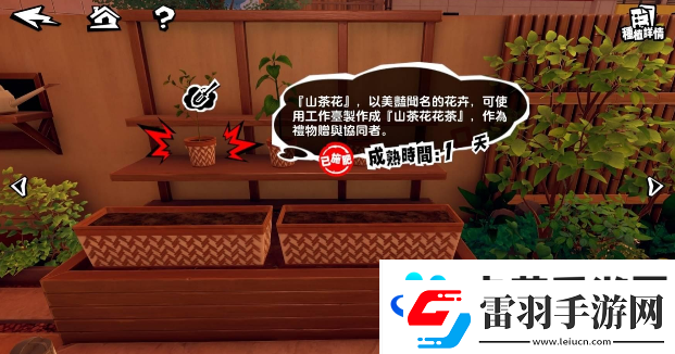 女神異聞錄夜幕魅影有哪些小游戲