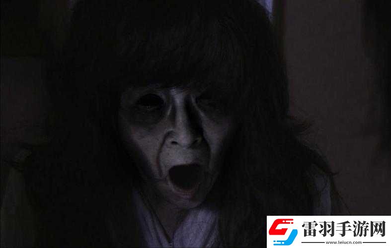 oldwoman一個充滿故事的神秘老婦人