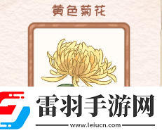 花店物語(yǔ)黃色菊花圖鑒資料