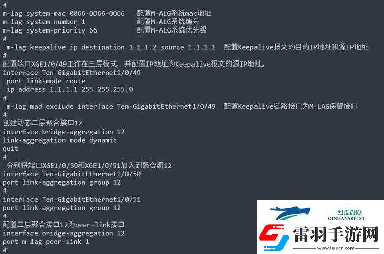S給M的120條命令深度解讀與全面分析