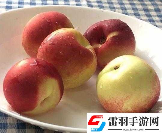 小東西為何這般會吃著實(shí)令人驚嘆不已