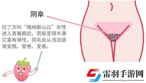 大蔭蒂BBBBBB大蔭蒂